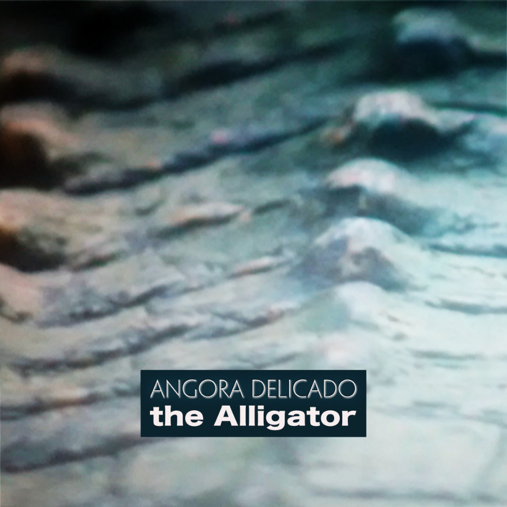 Angora Delicado: The Alligator (#spamindierecords)