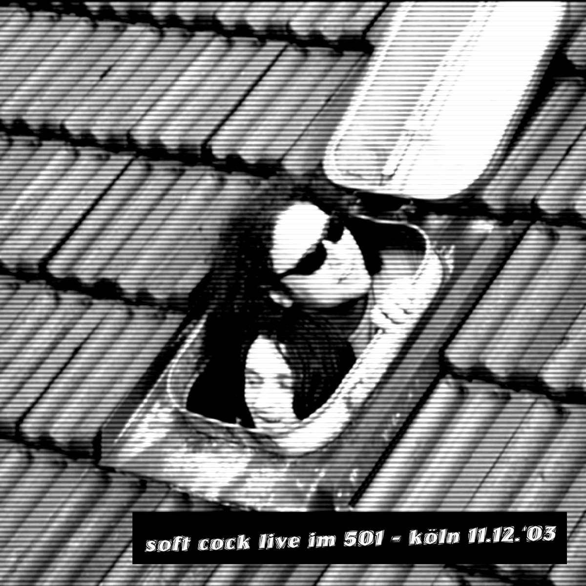 Soft Cock: ... live im 501 (#spamindierecords)